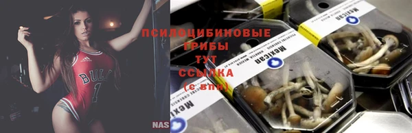 мяу мяу мука Аркадак